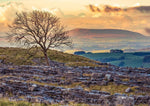 Yorkshire Calendar 2024